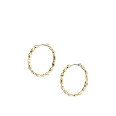 Afbeelding van Fossil Sutton Oorbellen, Dames, Maat: One Size, Gold