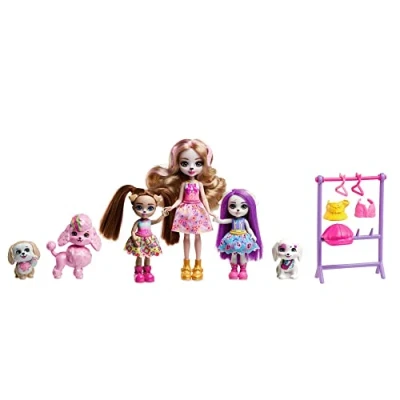 Afbeelding van Enchantimals Chic Feestje Dwyla Dog Familie Pop
