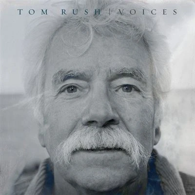 Afbeelding van Voices (CD)
