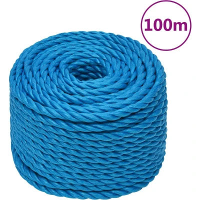 Afbeelding van vidaXL Werktouw 24 mm 100 m polypropeen blauw