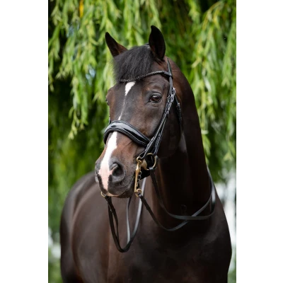 Image de HB Ensemble Bride Special for You Noir Full