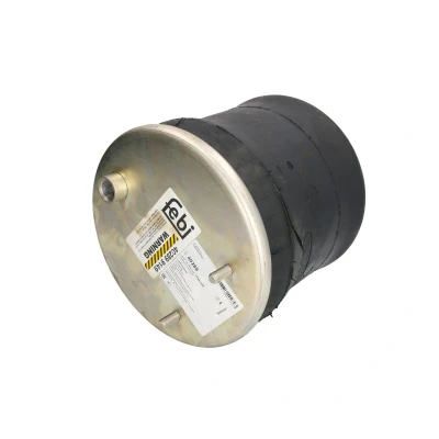 Afbeelding van Febi Bilstein Veerbalg 40289