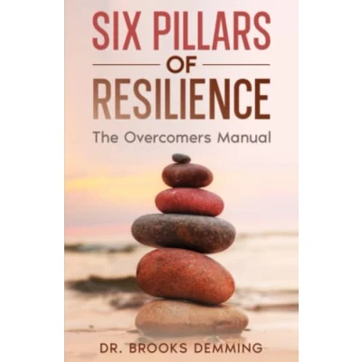 Afbeelding van Six Pillars of Resilience
