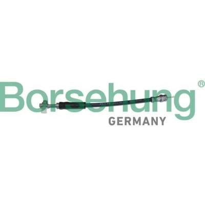 Afbeelding van Borsehung B10950 Remslang Achter VOLKSWAGEN: Golf 7, 7 Variant