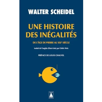 Afbeelding van UNE HISTOIRE DES INEGALITES DE L&#039;AGE PIERRE AU 21E SIECL