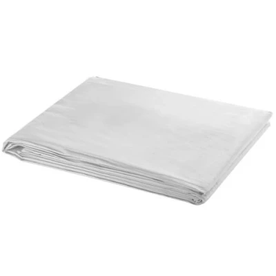 Image de vidaXL Toile de fond Coton Blanc 300 x cm
