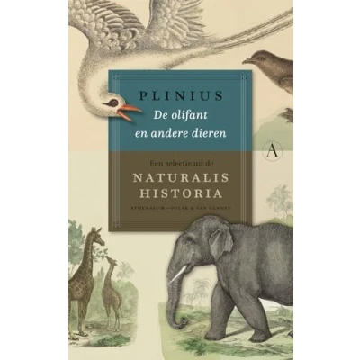 Afbeelding van De olifant en andere dieren