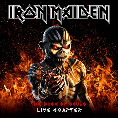 Afbeelding van The Book Of Souls : Live Chapter (Hardcase Deluxe)