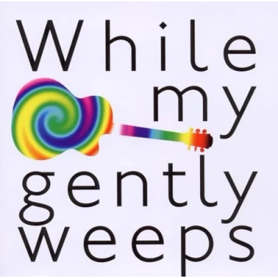 Afbeelding van Various Artists While My Guitar Gently Weeps (CD)