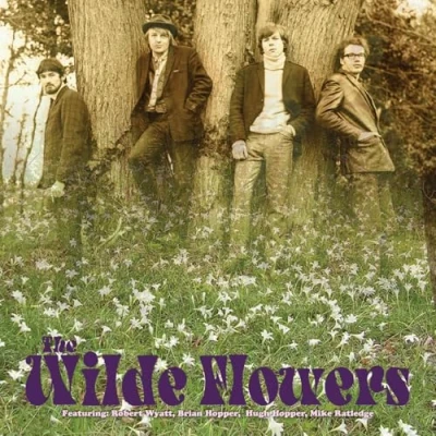 Afbeelding van The wilde flowers