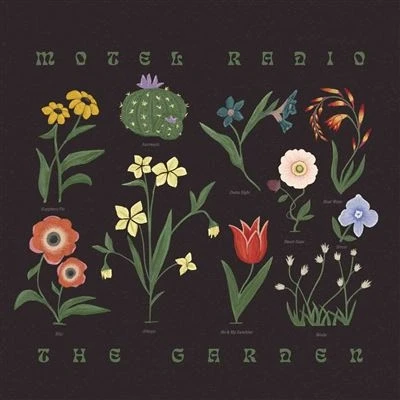 Afbeelding van Motel Radio Garden (LP)