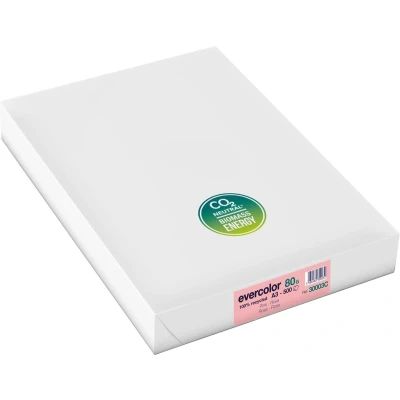 Afbeelding van Clairefontaine Evercolor gekleurd gerecycleerd papier, A3, 80 g, 500 vel, roze papier