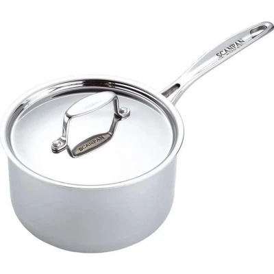 Afbeelding van SCANPAN steelpan Fusion5. 18 cm. 2.7 liter