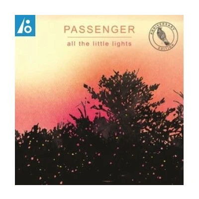 Afbeelding van Passenger All the Little Lights (LP)