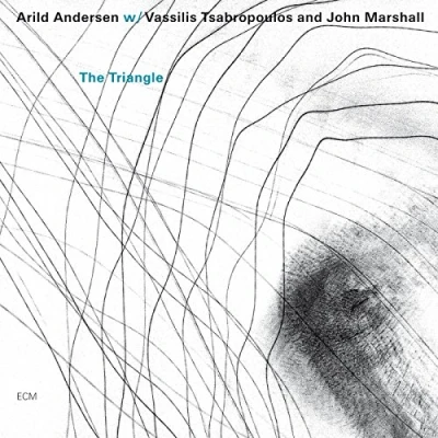 Afbeelding van Arild Andersen Trio The Triangle (CD)