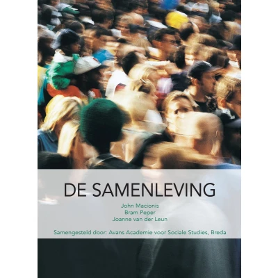 Afbeelding van De samenleving