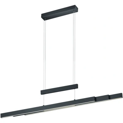 Afbeelding van Trio Trajan Hanglamp Mat zwart