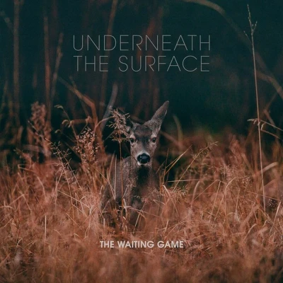 Afbeelding van The Waiting Game Underneath Surface (CD)