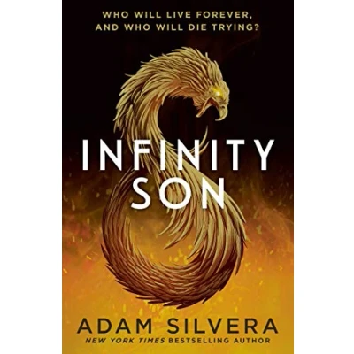 Afbeelding van Infinity Son Cycle