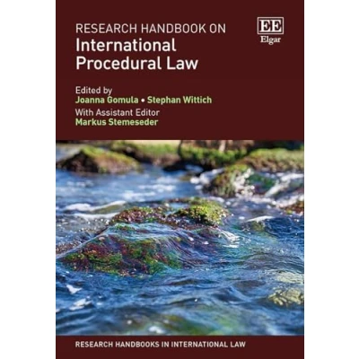Afbeelding van Research Handbooks in International Law series Handbook on Procedural