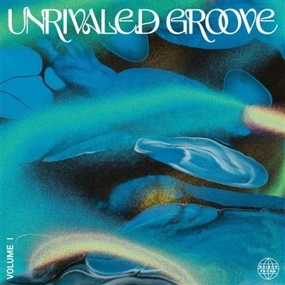Afbeelding van V/A Unrivaled Groove Vol.1