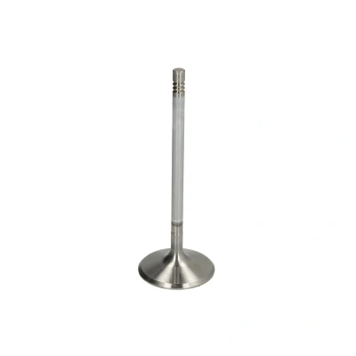 Afbeelding van Mahle Original Inlaatklep 001 VE 31376 000