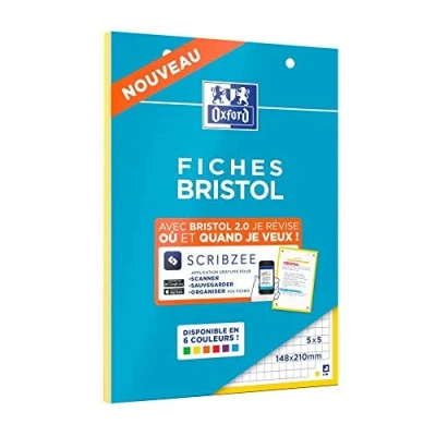 Afbeelding van OXFORD Bristol 2.0 indexblok, geperforeerd, 148 x 210 mm, kleine ruitjes, 5 30 stekkers, geel frame