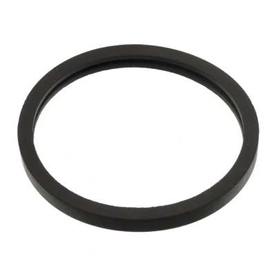 Afbeelding van Febi Bilstein Thermostaat pakking 05156