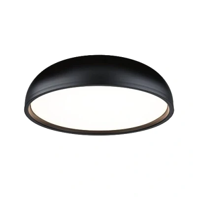 Afbeelding van Paulmann 71084 Oka LED plafondlamp 24 W Zwart (mat)