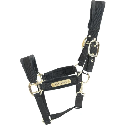 Afbeelding van Velvet halster zwart pony