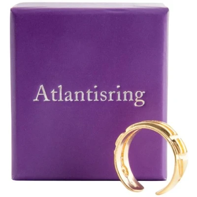 Afbeelding van Berk Inner Worlds Atlantisring esoterische ring voor dames, verguld