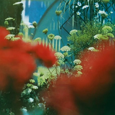 Afbeelding van Pulled Apart By Horses Haze (LP)