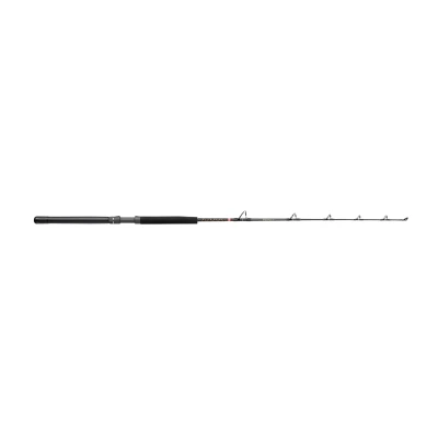 Afbeelding van Penn Squall® II Casting/Trollinghengel 1.68m 50 100lb Boothengel