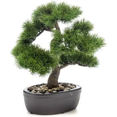 Afbeelding van Bonsai 5 Driesprong Collection