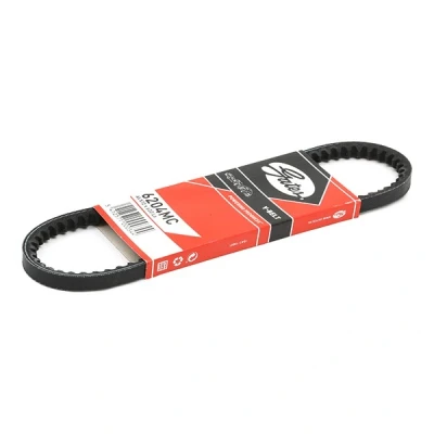 Afbeelding van Gates V riem 6204MC