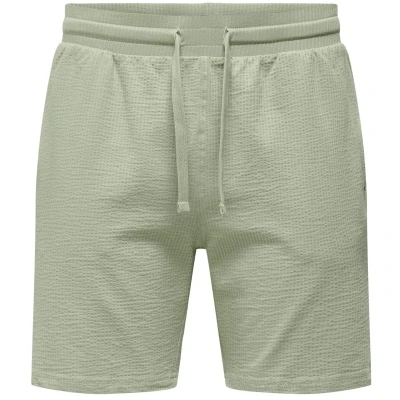 Afbeelding van ONLY &amp; SONS ONSKIAN LIFE REG SEERSUCKER SHORTS NOOS Heren Broek Seagrass