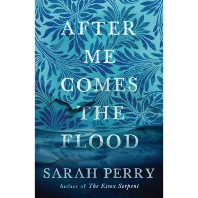 Afbeelding van After Me Comes the Flood