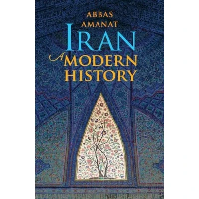 Afbeelding van Iran A Modern History