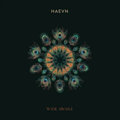 Afbeelding van Haevn Wide Awake (LP)