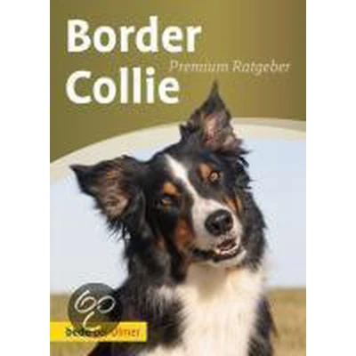 Afbeelding van Border Collie