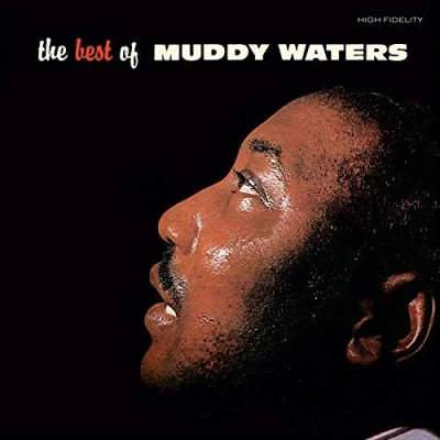 Afbeelding van Muddy Waters Best Of