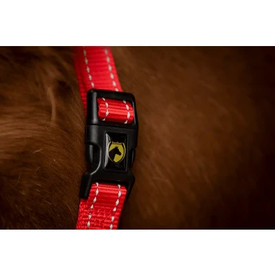 Afbeelding van Excellent Horse Premium Halster XS Mini Foal Rood