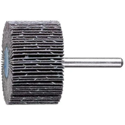 Afbeelding van PFERD 44450120 Lamellenschijf Diameter 50 mm 10 stuk(s)
