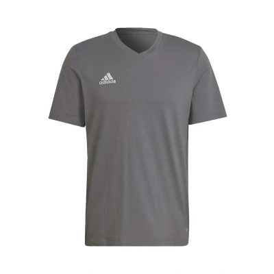 Afbeelding van adidas ent22 thee heren T Shirt, Team Grey Four, 3XL
