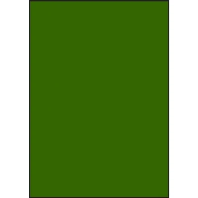 Afbeelding van Groene A4 etiketten 210 x 297 mm (100 vel)