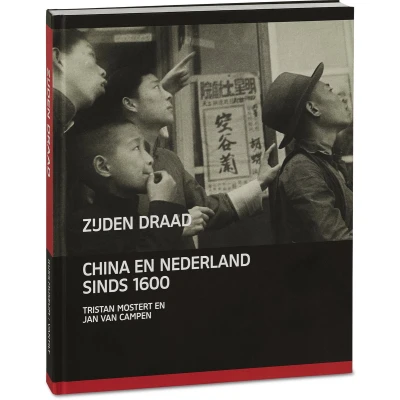Afbeelding van Zijden draad