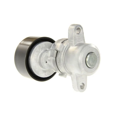 Afbeelding van Spanrol, Poly V riem SKF VKM 62054