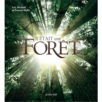 Afbeelding van Il etait une foret