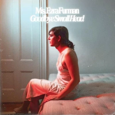 Afbeelding van Ezra Furman Goodbye Small Head (LP)