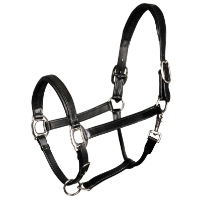 Afbeelding van Harry&#039;s Horse Halster Leder, Padded Zwart Cob